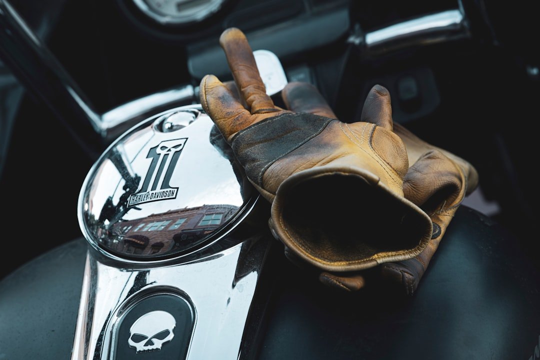 Defeat Damp Gloves: The Ultimate Glove Dryer Guide for Riders - OPlace
