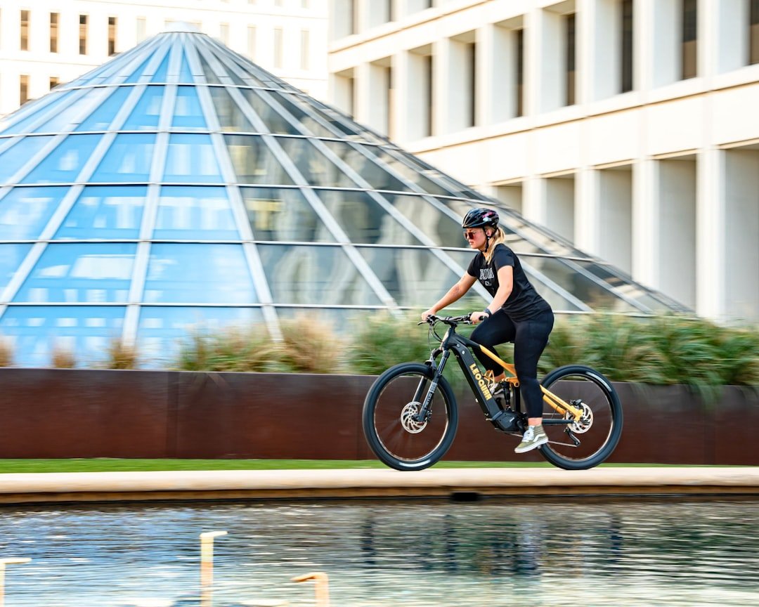 E-Bike Market Size: Growth, Trends, and Future Projections - OPlace