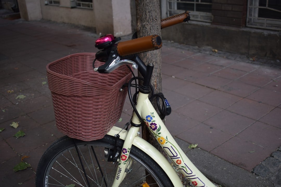 How to Install a Bike Tracker Taillight with Alarm: An Easy Anti-Theft Setup - OPlace