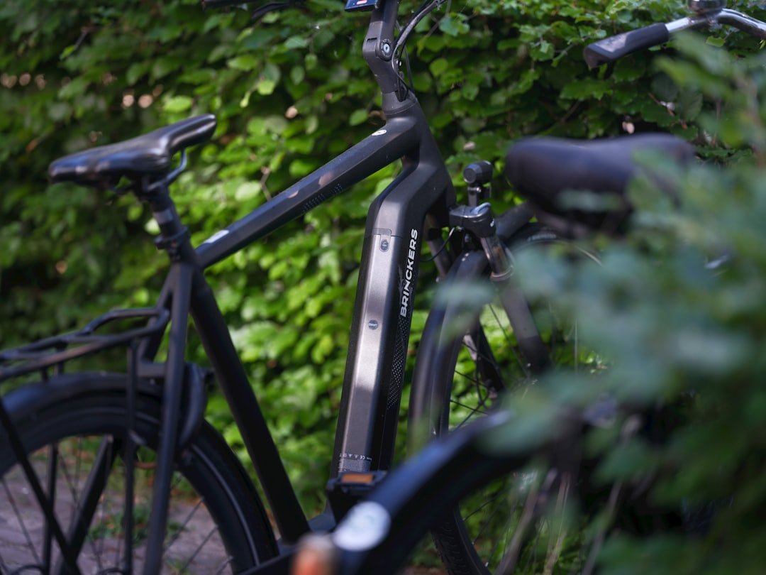 Navigating the E-Bike Market: Key Trends Shaping the Future of Electric Bicycles - OPlace