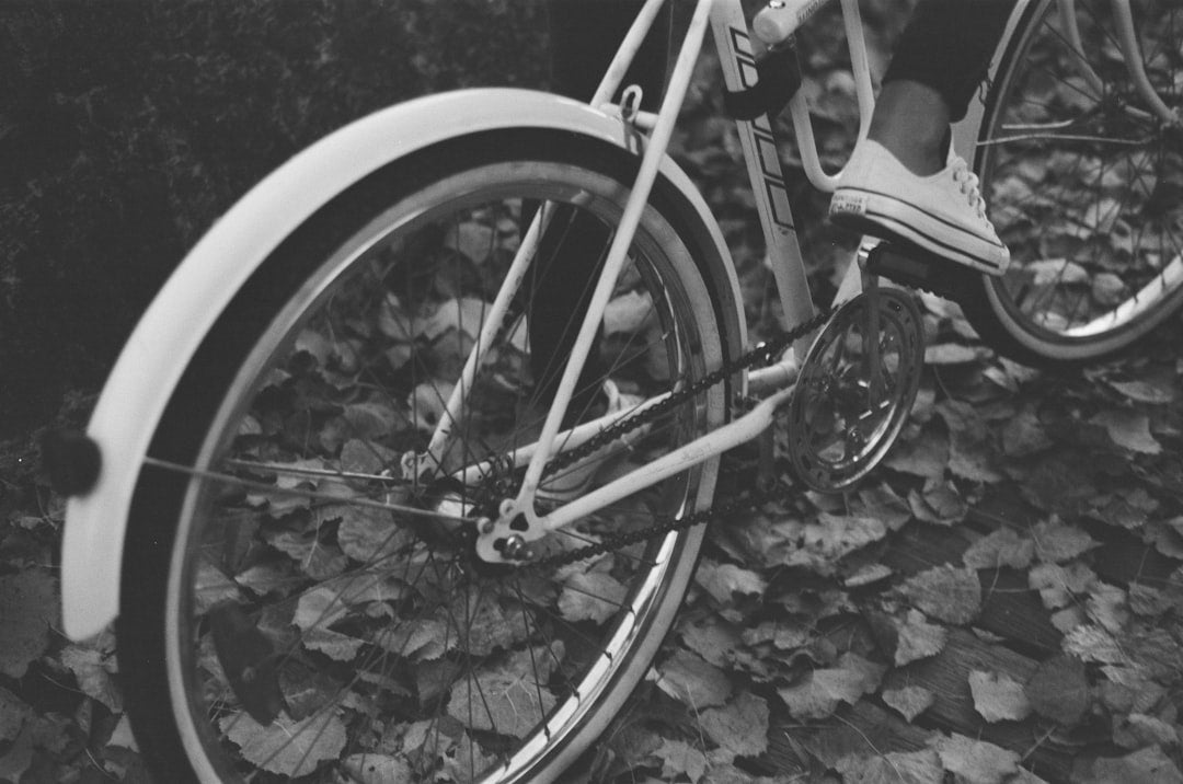Quick Release Fender Installation & Maintenance Guide