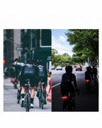 Road cyclists viewed from behind in daytime traffic